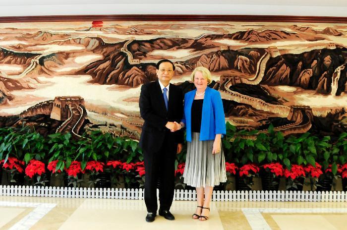 王国强副主任会见联合国助理秘书长、联合国艾滋病规划署副执行主任简‧比格