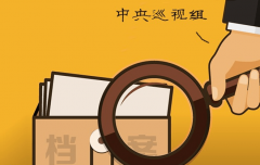 国家卫生计生委党组关于巡视整改情况的通报